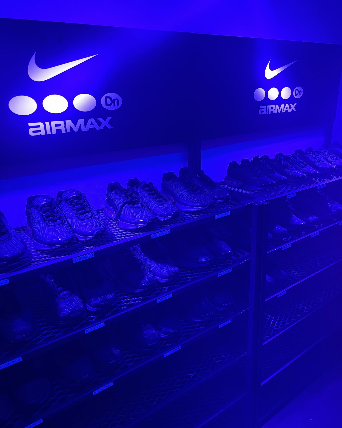 NIKE AirMax "Dynamic Land" at OHJO BLDG